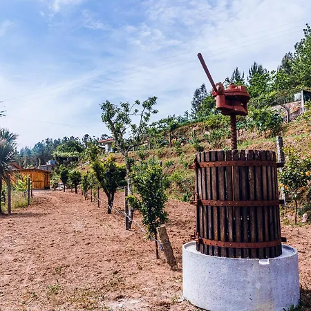 Casa de Campo A Casa Dos Avós